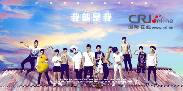 办理圣温森特山大学学位证